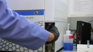 CytoFlex Startup