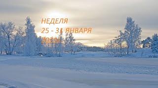 РАК. НЕДЕЛЯ 25-31 ЯНВАРЯ 2021. Таро прогноз