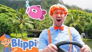 Blippi Goes Fishing in Hawaii! Educational Videos for Toddlers