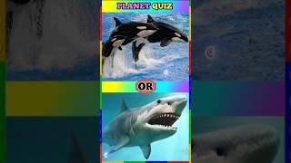 Guess the wild animal #part02#education #animalguessing#quiz#shorts