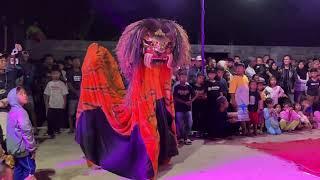 Rampak Barong 3 Barongan New Sekar Aji Terbaru Live in Kaliyoso Babak Malam