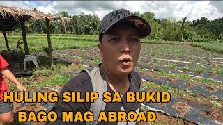 Balik Abroad muna tayo...Huling silip sa bukid