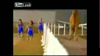 4 Midgets Race a camel (w/ Super Mario Bros. Sounds)