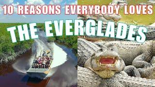 10 MUST-SEE Spots In EVERGLADES NATIONAL PARK & 2 BONUS Tips!