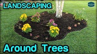 Landscaping / Edging / Mulching Around Trees