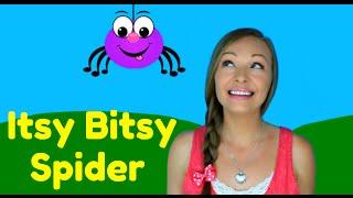 Itsy Bitsy Spider Song - Nursery Rhymes for Children, Kids and Toddlers