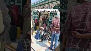 Sabir piya se darke bhoot bhag jaate hai #kaliyarsarif #sabirpaak #kaliyarsharifdargah #sabir #peer