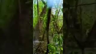 Ukrainian marines pass through swampy terrain under heavy shelling #warinukraine #russia #shorts