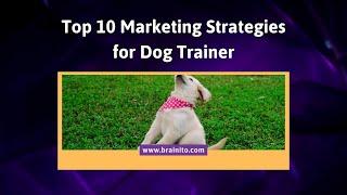 Marketing Strategies For Dog Trainer