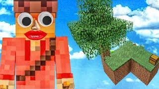 Minecraft but We Battle To Survive on Two SkyBlocks?! (Minecraft Gameplay)