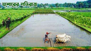 যশোরের কচুর লতির রাজা লতিরাজ || Panorama Documentary