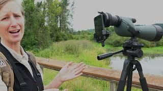 Digiscoping device and Spotting Scope for wildlife watching