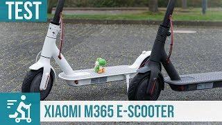 Xiaomi M365 E-Scooter im Test: Perfekt für die letzte Meile?
