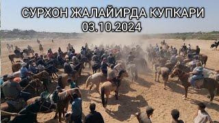 СУРХОН ЖАЛАЙИРДА КУПКАРИ 03.10.2024