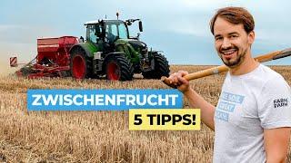 Unsere 5 Tipps  für den Zwischenfruchtanbau 