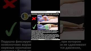Подушка между ног при болях в пояснице артрозе, и варикозных расширениях вен