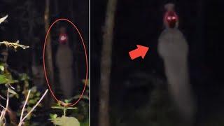 Merinding ! Nyari Sarang Burung Ketemu Pocong ! 7 Penampakan Hantu Terjelas dan paling Menyeramkan