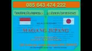 HP 085 643 474 222, Magang ke Jepang IMM, Magang ke Jepang Depnaker