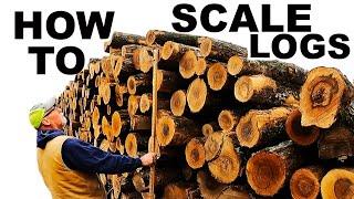 HOW TO SCALE A LOG PILE FOR CORD MEASUREMENT!!