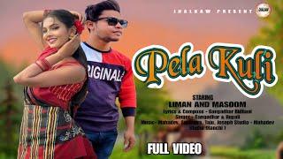 SANTALI VIDEO || PELA KULI || NEW SANTALI FULL VIDEO 2025 || LIMAN HEMBRAM MASOOM SING