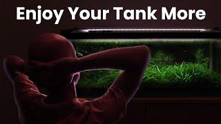 7 Tips For The Lowest Maintenance Shrimp Tank