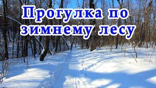 Прогулка по зимнему лесу