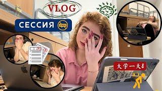 Сессия в частном  университете Vlog 大学一天8