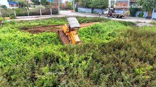 Bulldozer Yellow !! Bulldozer Cleaning Forest - Bulldozer Working Clearing Forest -  Bulldozer D31P