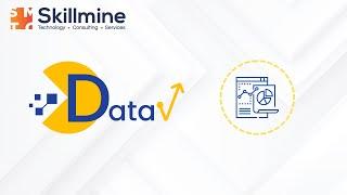 Skillmine DataV Explainer Video 2024