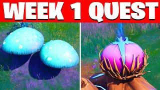 Week 1 Quests Fortnite - All Week 1 weekly Challenges guide