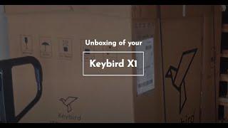 Keybird delivery | disassembly | assembly