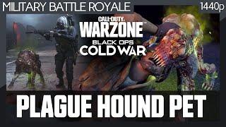 Call of Duty: Plague Hound Pet Elimination Animation (2021) Warzone / Cold War (No commentary) 1440p