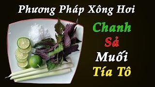 Phương Pháp Xông Hơi Trị Mụn Nám với Tía Tô - Chanh - Sả và Muối tại nhà - Làm đẹp hiệu quả tại nhà