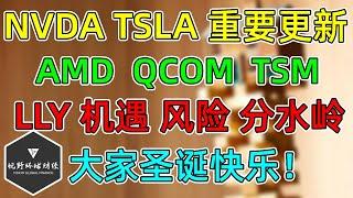 美股 NVDA、TSLA重要更新！AMD、QCOM、TSM跟踪！LLY机遇、风险分水岭！圣诞快乐！