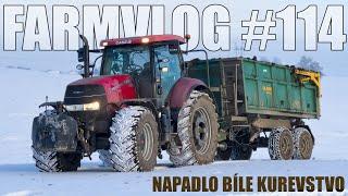 FARMVlog #114 - Vývoz hnoje když napadlo bíle kurevstvo s Case IH Puma 185 CVX