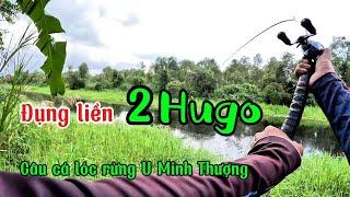 Câu cá lóc rừng U Minh Thượng lên liền 2 con hugo @huukhuynhkiengiang (tập 178)