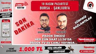 18 Kasım 2024 // SON DAKİKA - Bursa - Şanlıurfa At Yarışı Tahminleri // Yener Çelik - Hakan Çakmak