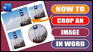 How to CROP an IMAGE in Word | RESIZE an image in IMAGE