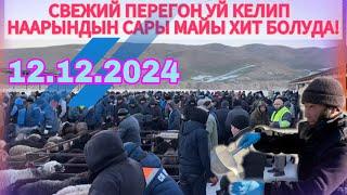 12.12.2024ж АРАВАН МАЛ БАЗАРЫНДАГЫ СВЕЖИЙ ПЕРЕГОН УЙЛАР!