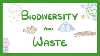 GCSE Biology - How Human Waste Reduces Biodiversity - Explained