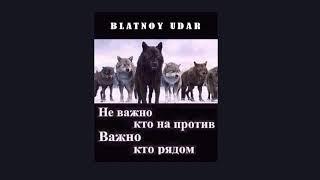Blatnoy udar Official Про друзей  Live