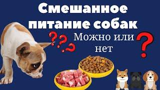 Можно ли кормить собаку натуралкой и сухим кормом? Смешанное питание. Важная информация владельцам!