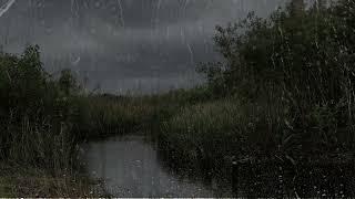 Heavy Rain & Thunder - Rain sounds for Sleep - 1 hour rain sounds for sleep