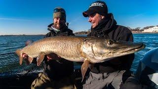 Web Extra! - Rigging Suckers for Fall Muskies