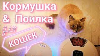 Кормушка и Поилка для #КОТОВ от ~220 Наряды & Платья   #Шахматы ️ #барбершоп #чернаякость #мясо