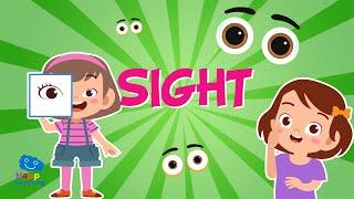 THE SENSE OF SIGHT  | Educational Videos for Kids