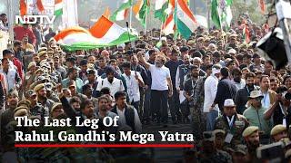 Congress's Bharat Jodo Yatra To Enter Jammu City Today