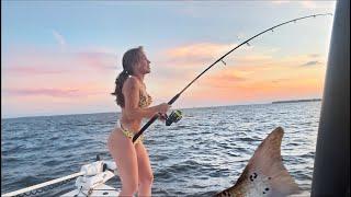 Bowed Up! BIG Red Drum Fishing on the Neuse River *lucky bikini*