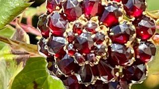 Live Friday Jewelry Sale & Auction Preview Killer Queen Vintage  4pm PST/ 7pm EST Weekly Giveaway