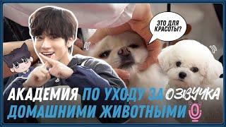 Русская озвучка TXT Наконец-то мы нашли ТО, чего он не смог сделать EP.08 Реинкарнация в академии